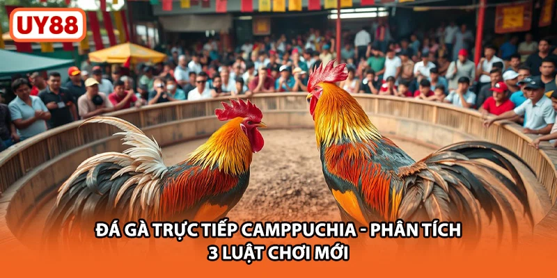 Đá Gà Trực Tiếp Campuchia UY88 - Phân Tích 3 Luật Chơi Mới