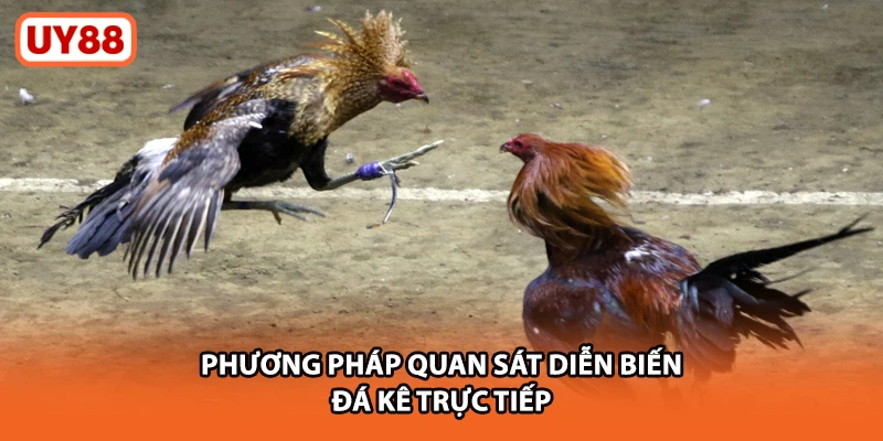 Phương pháp quan sát diễn biến đá kê trực tiếp